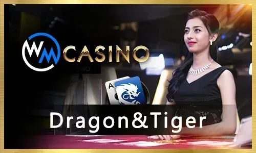 Online Bingo Guide plus777